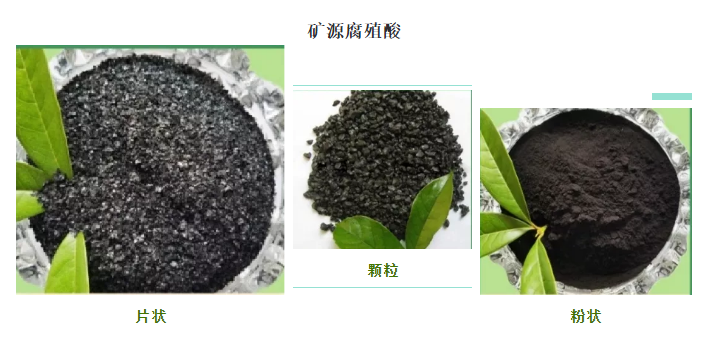看過(guò)來(lái)！帶你了解司普沃赫蔓核心成分-礦源腐殖酸