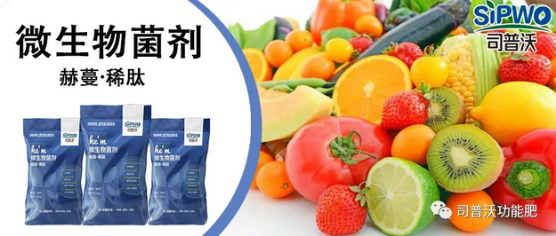 赫蔓微生物菌劑-分解毒素、改良土壤、調(diào)節(jié)生命活動、抑制土壤病菌