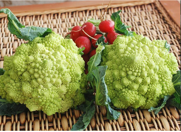 司普沃淺談花椰菜細(xì)菌性黑斑病防治技術(shù)與管理