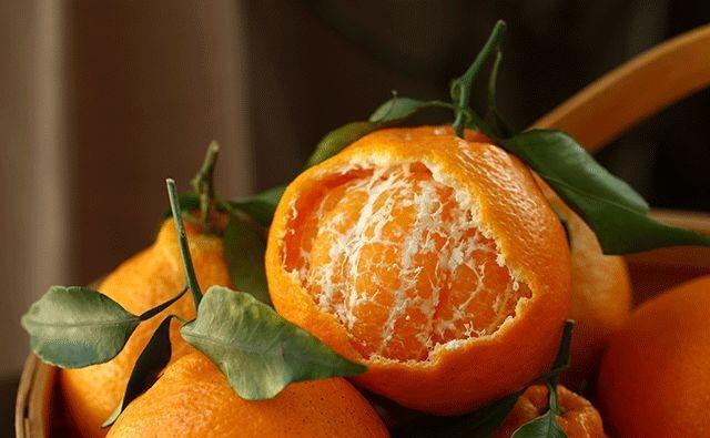 柑橘果面好，果肉卻干水，司普沃與您一起找原因、找方法