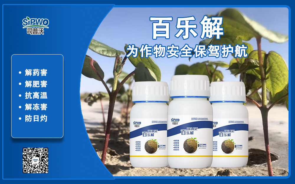 司普沃赫蔓百樂(lè)解，解凍害、解肥害、解藥害，棉花上再顯神威！