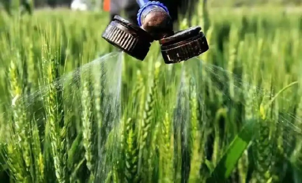 如何科學(xué)施用葉面肥？種植戶(hù)可長(zhǎng)點(diǎn)心！