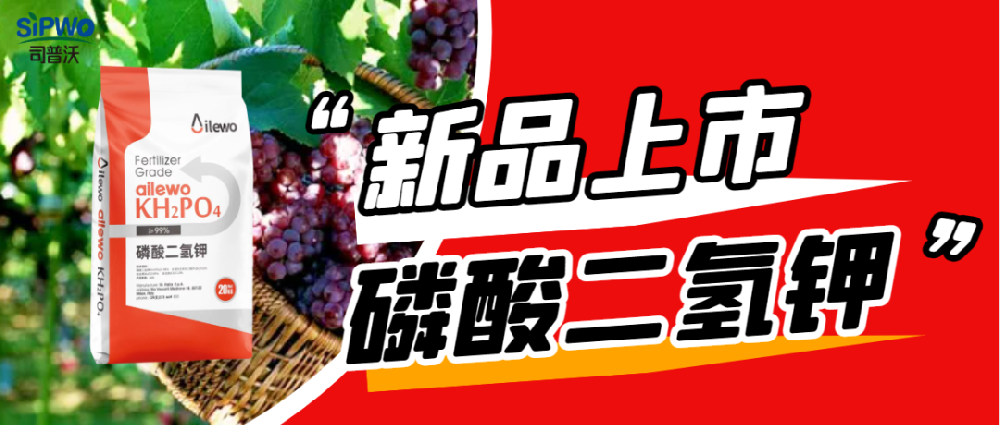 愛(ài)萊沃·磷酸二氫鉀|?；ū９?、膨大早熟、增甜增色、增產(chǎn)增收