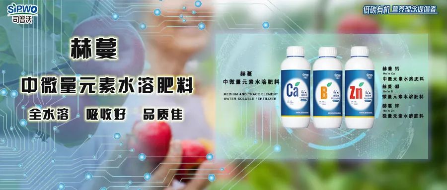 中微量元素鈣、硼、鋅|移動快、吸收好、營養(yǎng)全、品質(zhì)佳