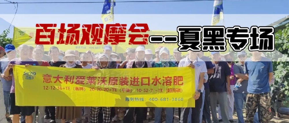 新疆博樂地區(qū)夏黑葡萄觀摩會(huì)圓滿成功，司普沃功能肥閃耀全場(chǎng)