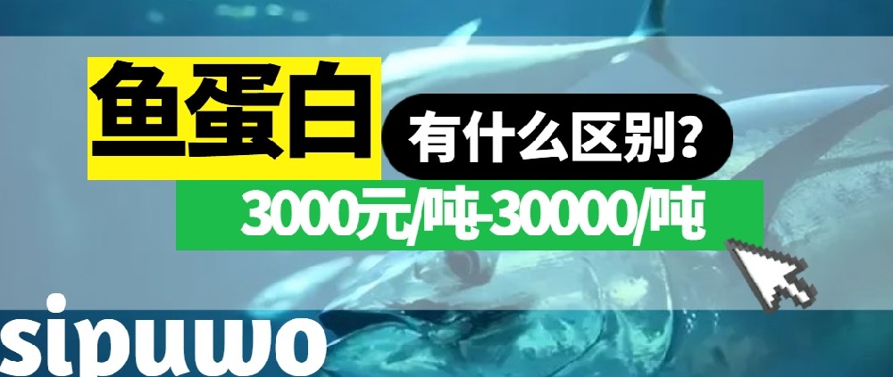 3000-30000元/噸的魚(yú)蛋白有多大差距？一篇文章告訴你！